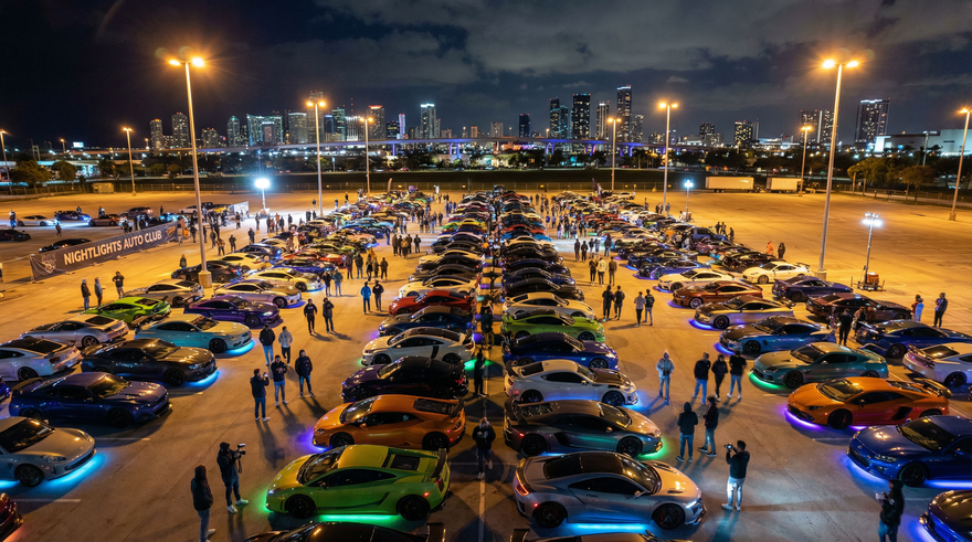 小马拉大车美图